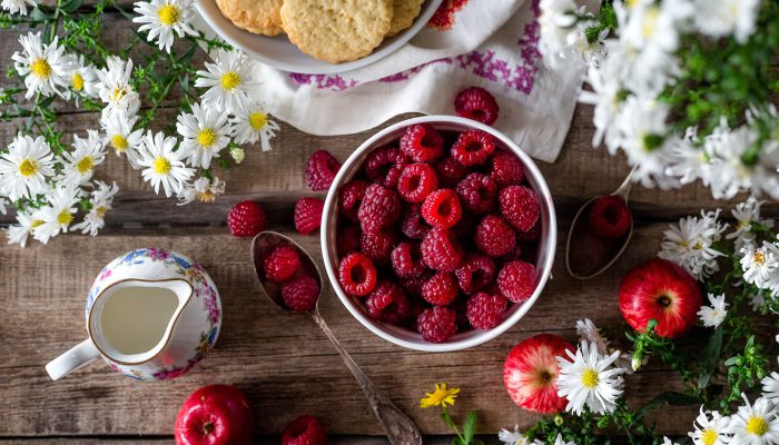 Morbi risus imperdiet ligula