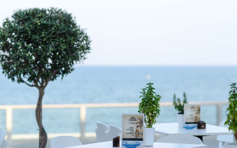 Donec convallis tellus convallis