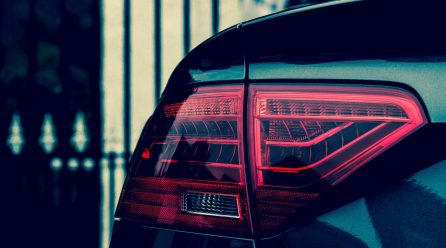 Sed gravida finibus blandit