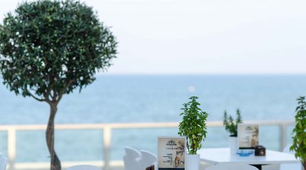 Donec convallis tellus convallis