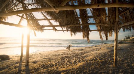 Aenean suscipit lectus dapibus